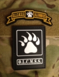 OLCMSS Patch and Tab